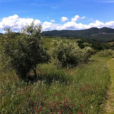 La Fattoria Di Valentina Feriegård Pomarance